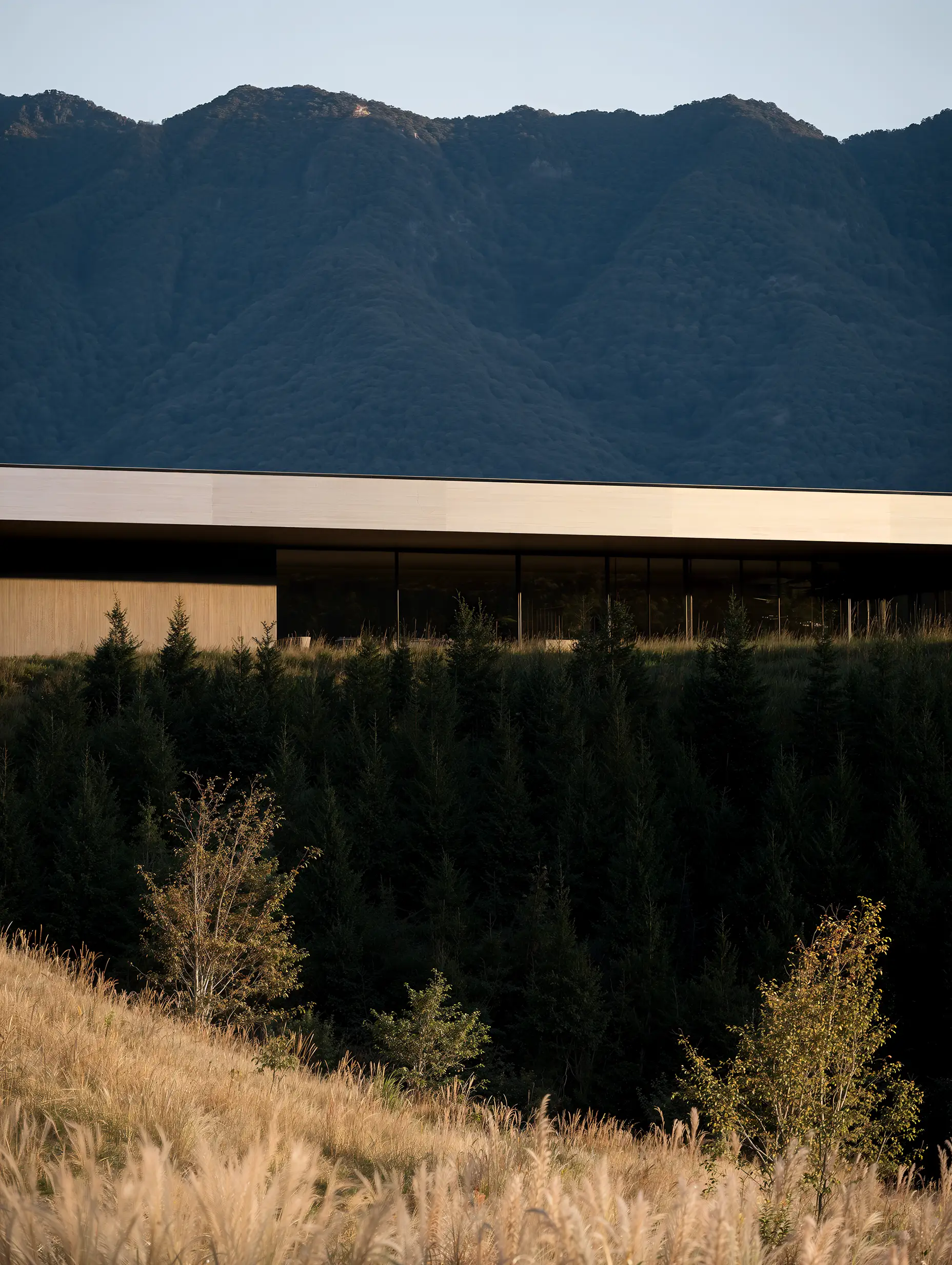 Cloudline Retreat